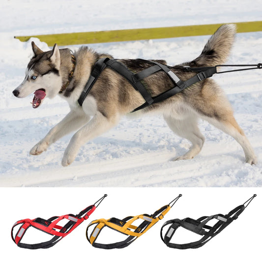 Reflective Pet Sled Harness Big Dog Weighted Rally Vest For Pet Training