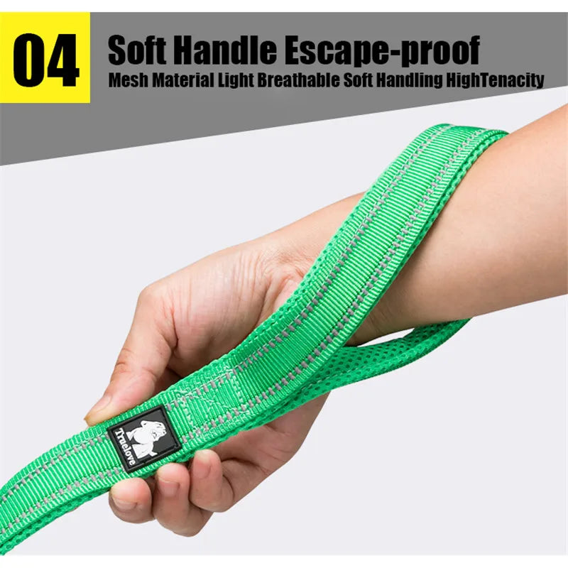 Nylon Mesh Soft Pet Leash