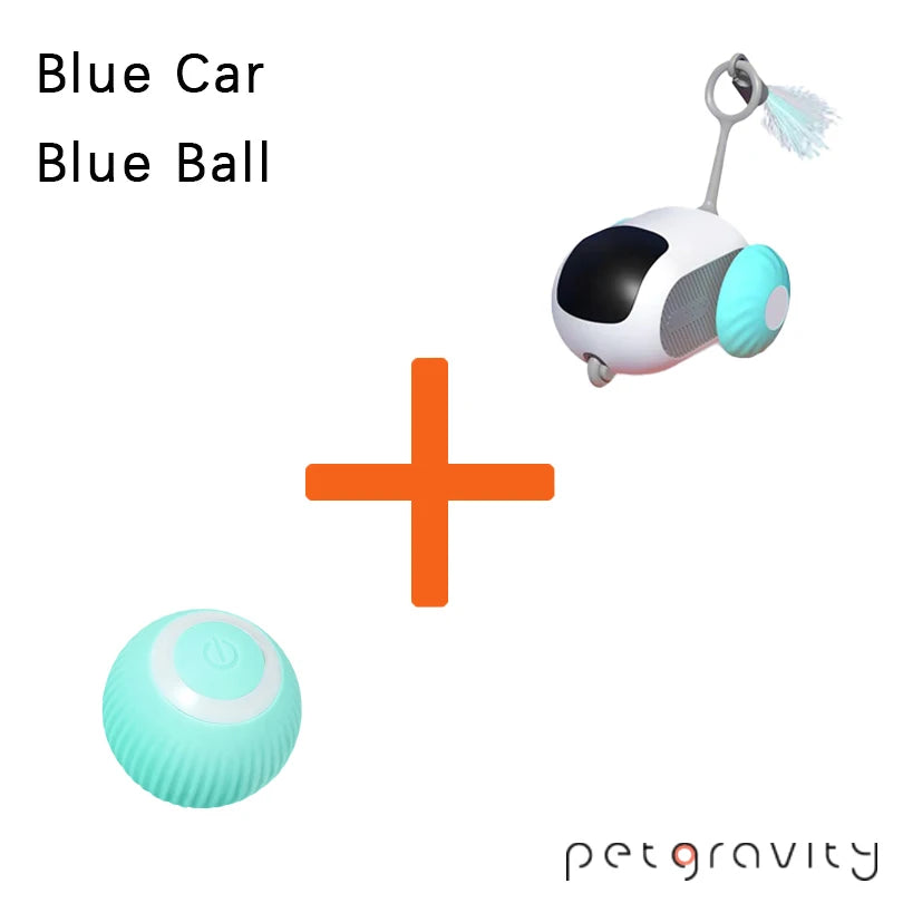 Pet Smart Interactive Car Toys