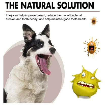 Pet Teeth Cleaning Spray