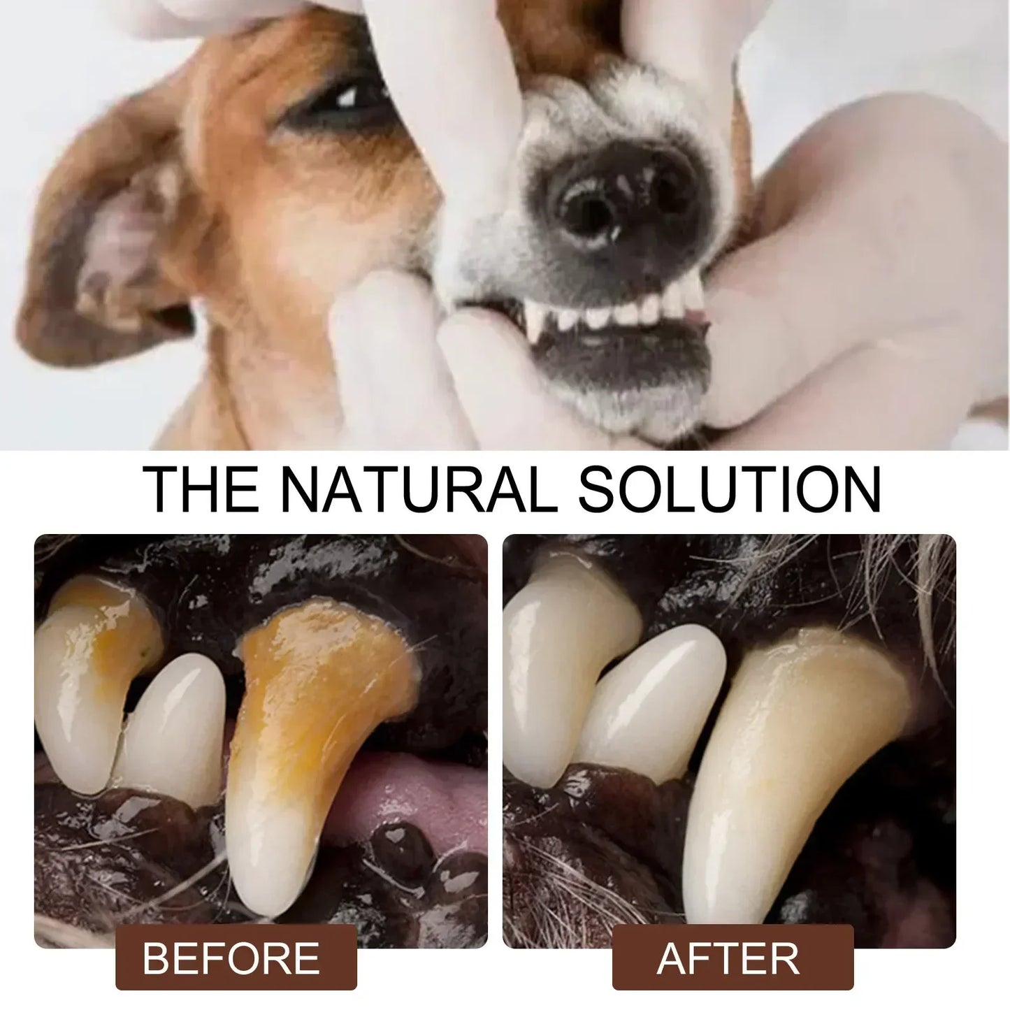 Pet Teeth Cleaning Spray