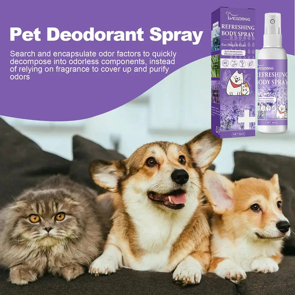 Air Fresh Lavender Essential Oil Dog Deodorizing Spray Long Lasting