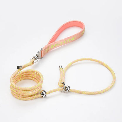 Strong nylon rope leash, anti-choking and anti-pulling