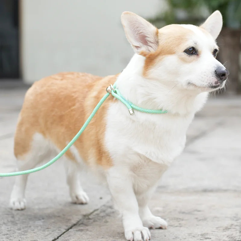 Strong nylon rope leash, anti-choking and anti-pulling