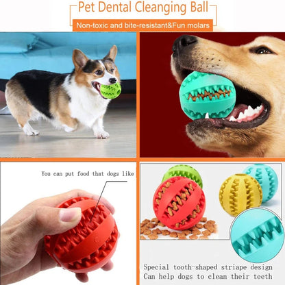 Interactive Rubber Ball Chew Toy, Teeth Cleaning