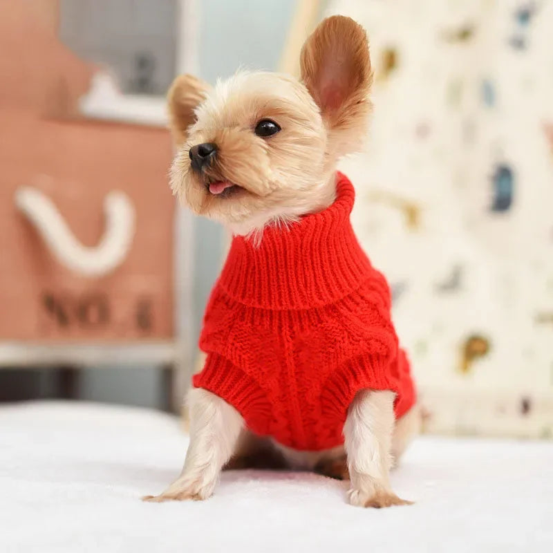 Knitted Pet Clothes