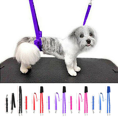 Portable Pet Leash Adjustable Dog D-Ring Bath Strap