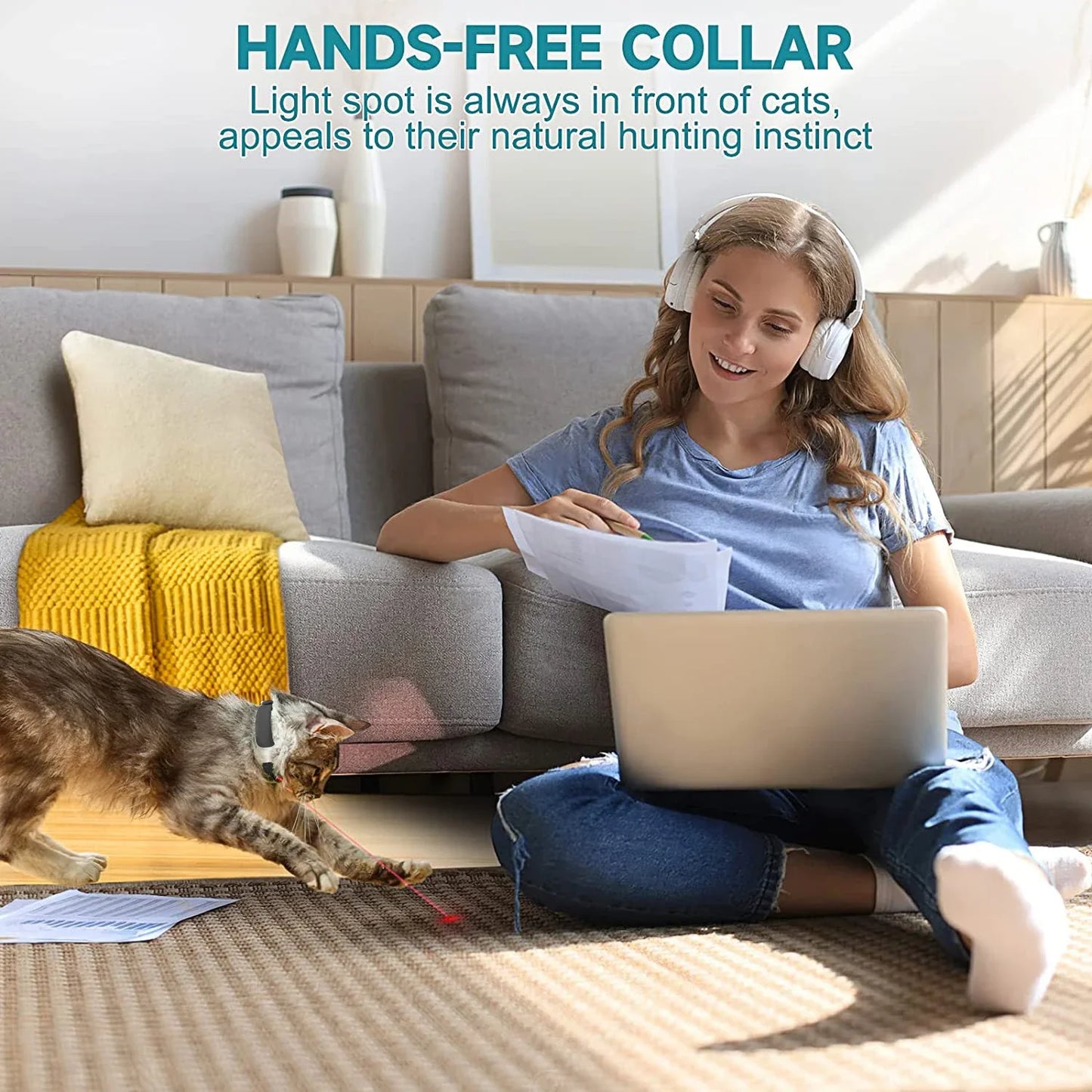 Kitten electric smart entertainment collar