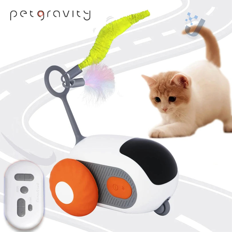 Pet Smart Interactive Car Toys