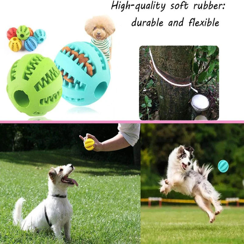 Interactive Rubber Ball Chew Toy, Teeth Cleaning