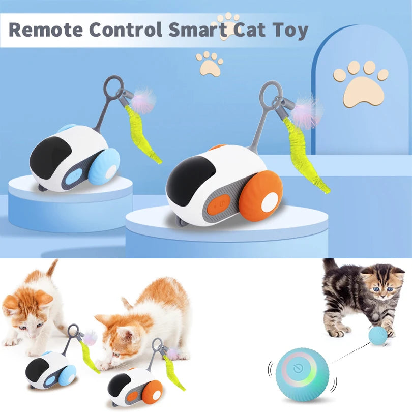 Pet Smart Interactive Car Toys