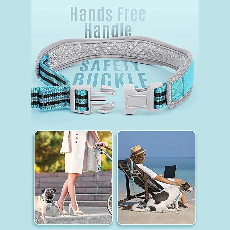 Powerful Leash Traction Leash for Dogs