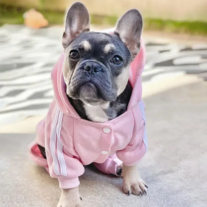 French Bulldog Clothing Dog Coat Jacket