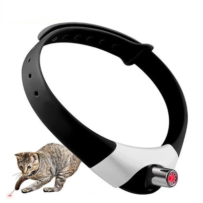 Kitten electric smart entertainment collar