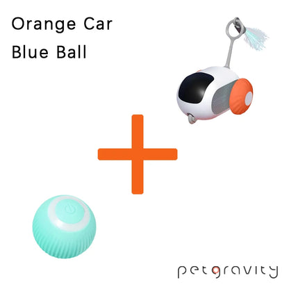 Pet Smart Interactive Car Toys