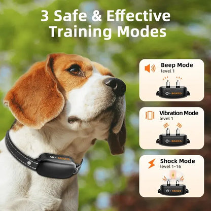 dog training collar