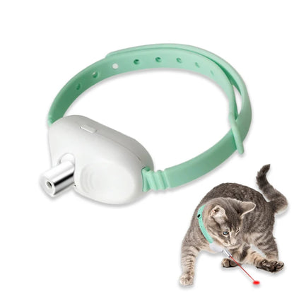 Pet Smart Interactive Car Toys