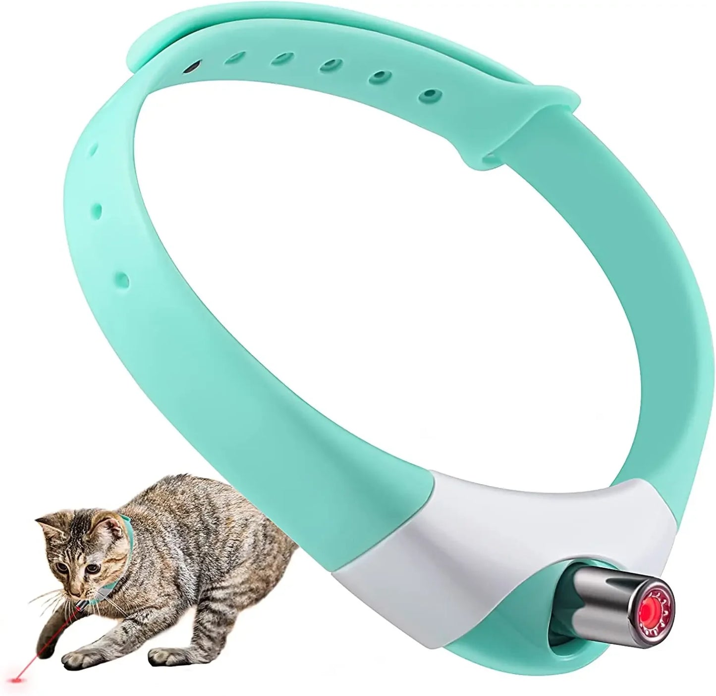 Kitten electric smart entertainment collar