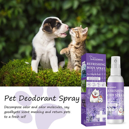 Air Fresh Lavender Essential Oil Dog Deodorizing Spray Long Lasting